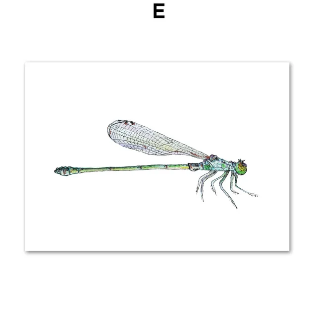 Colorful-Dragonfly-Wall-Art-Canvas-Painting-Nordic-Posters-And-Prints-Animals-Wall-Pictures-For-Living-Room.jpg_640x640 (4)