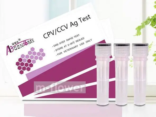 canine coronavirus