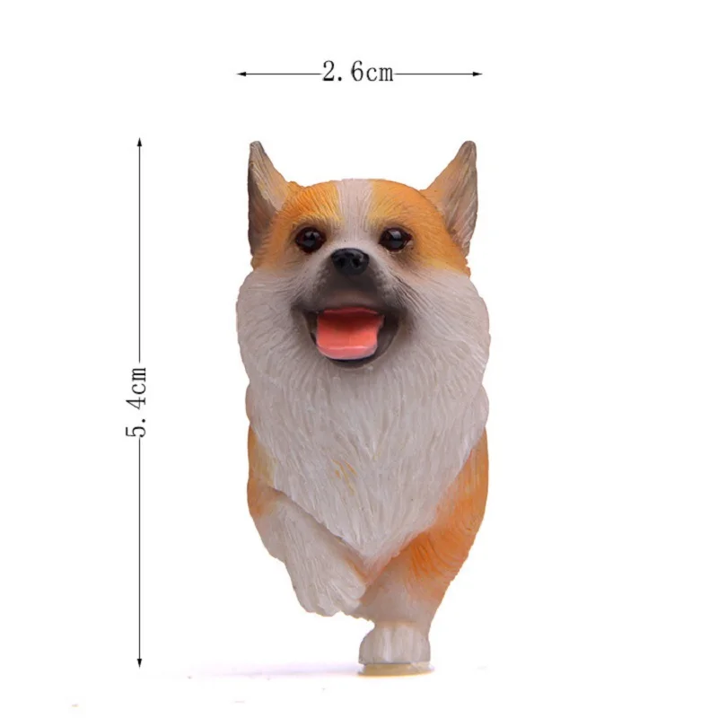 8176486797_1256699427[1]