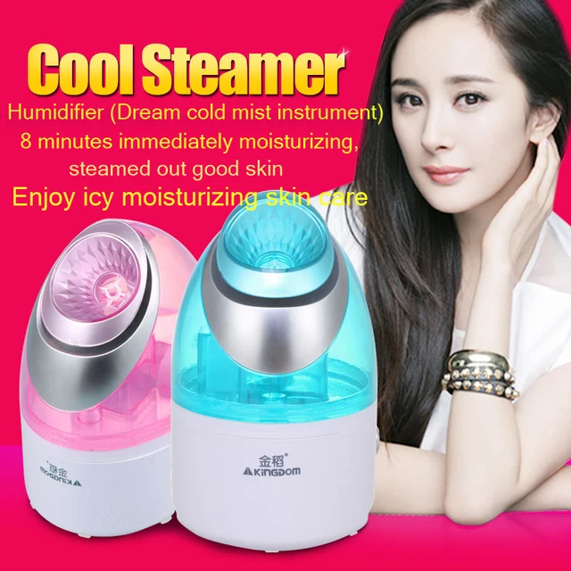 Buy Facial Face Steamer Deep Cleanser Mist Steam