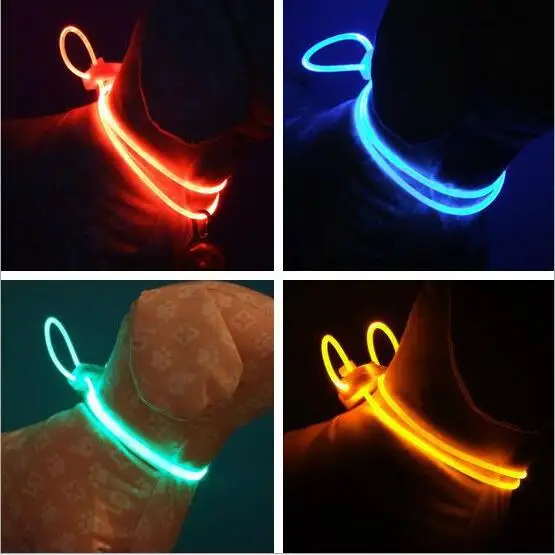 Dog | Accessory Luminous Dog Collar | Straps Lights Dog - Collars, Harnesses & - Aliexpress