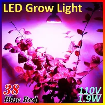 

EU Plug Plant Grow Lights with E27 Base 38 LED 1.9W 110V / 220V Red Blue Home Garden Indoor Hydroponic Lamp