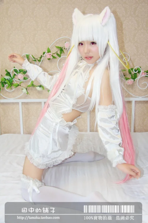 Puella Magi Madoka Magica QB COSPLAY2.jpg