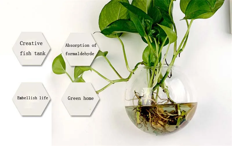 Гидропоники Террариум настенные вазы аквариум стеклянная ваза растение цветок для домашнего декора свадебные украшения настенные подвесные стеклянные вазы ваза