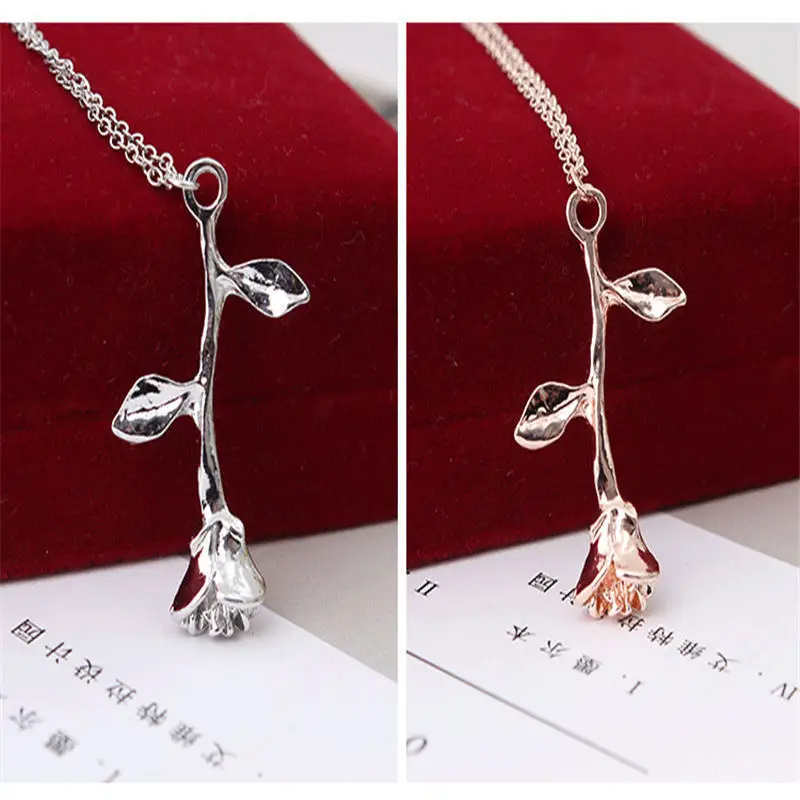 XL0009A (3)