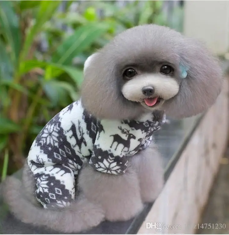 Рисунок комнатная собачка Утепленная зимняя одежда футболка свитер для щенка вязаная эластичная собака простая повседневная одежда
