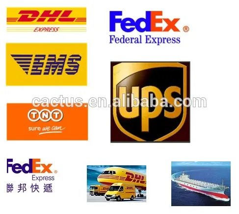 Shipping express