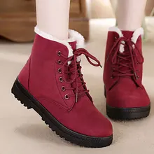 Женские зимние ботинки; Размеры 35-42; модные теплые бархатные женские ботинки; коллекция года; теплые зимние Ботильоны на каблуке; женская обувь размера плюс