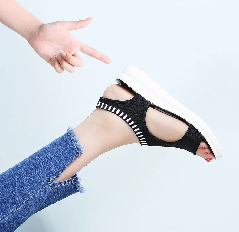 9021426859_1349562011