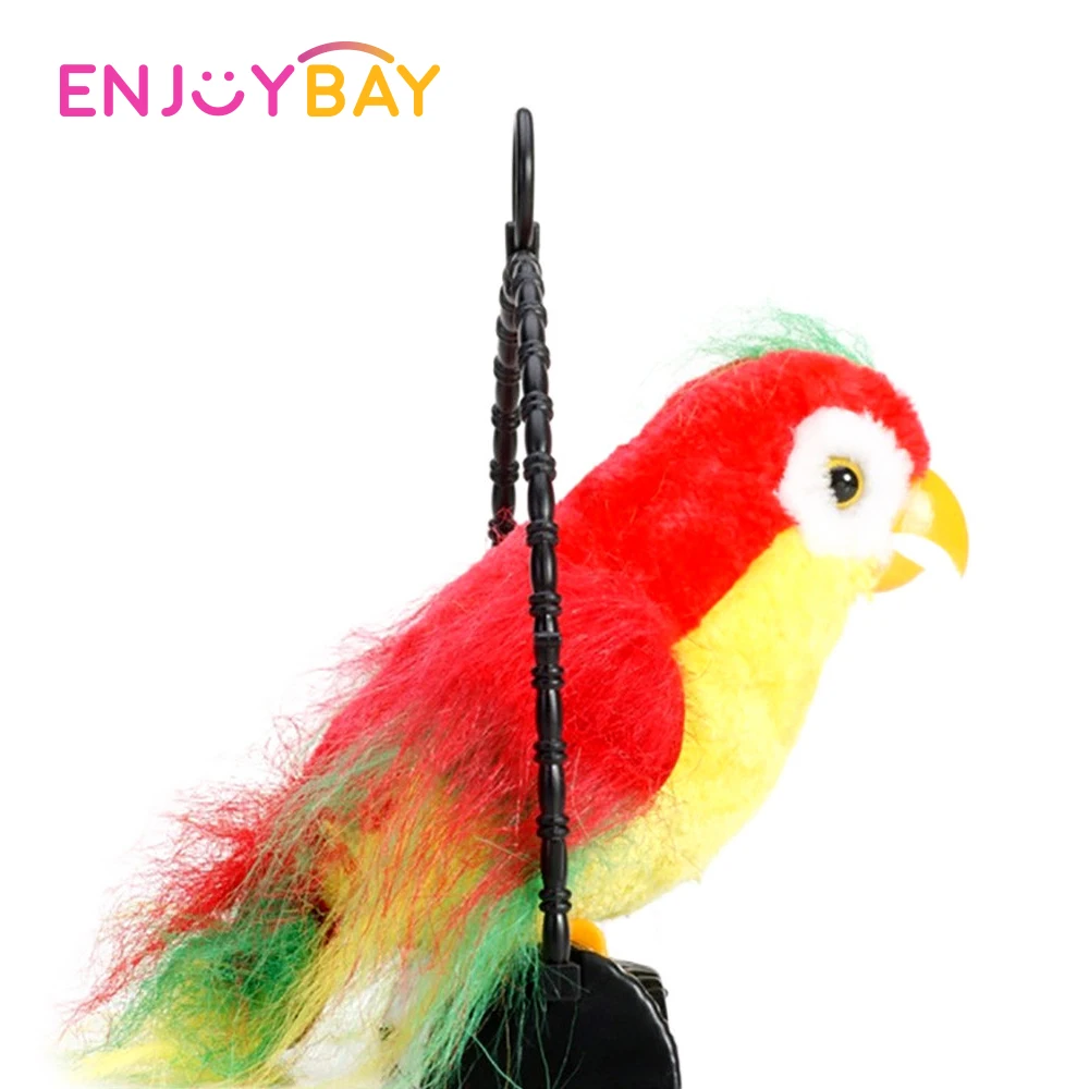 Купить Говорящего Попугая В Спб Недорого