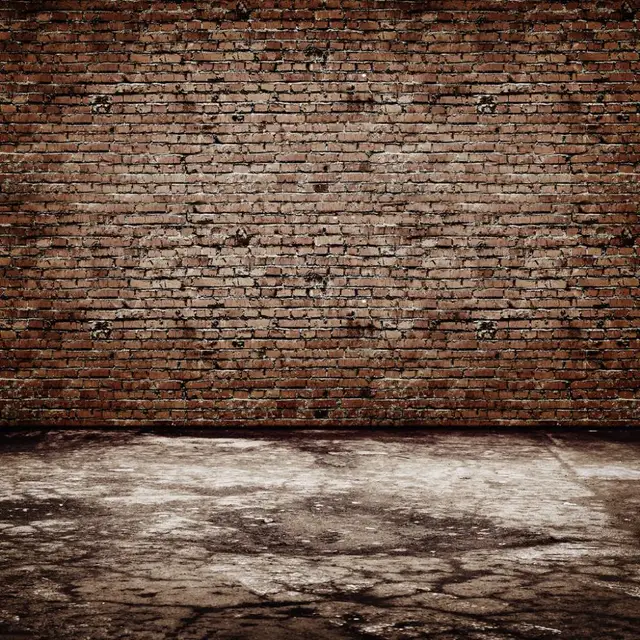 shanny brick wall wooden floor theme vinyl custom photography wooden theme