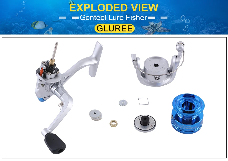 GLUREE Plating Fishing Spinning Reel Carp Fishing Reel CF1000~6000 10BB 5.21 Gilded Line Cup LeftRight Handle Saltwater Wheel (19)