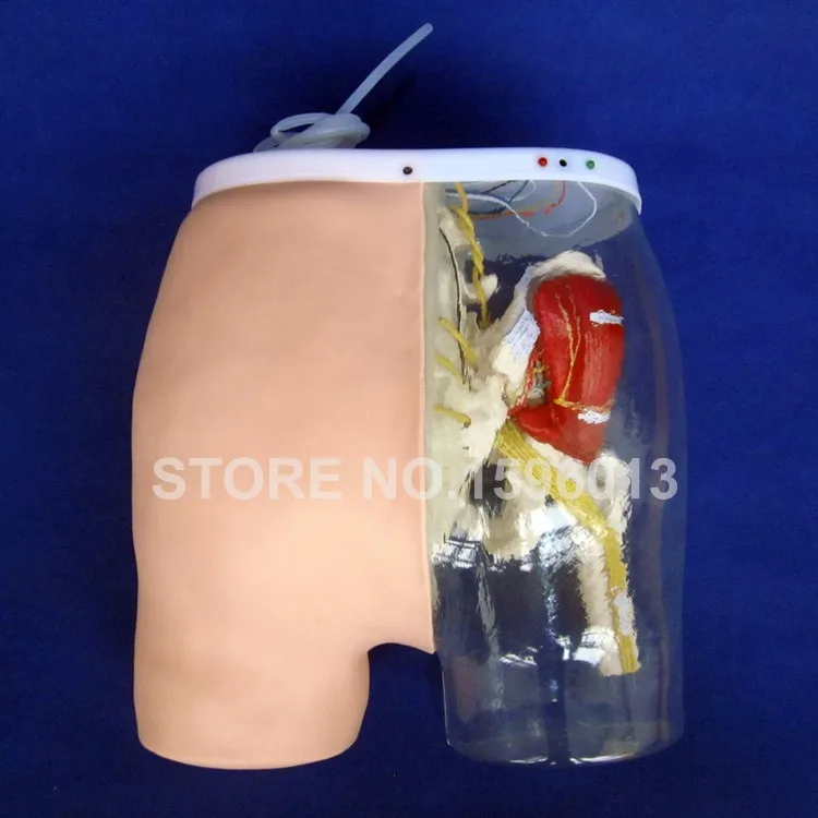 T2 buttocks IM simulator (13)