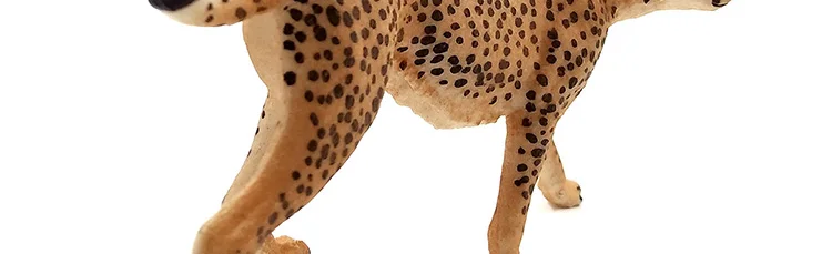 -2---DW-M-LP462-480_12
