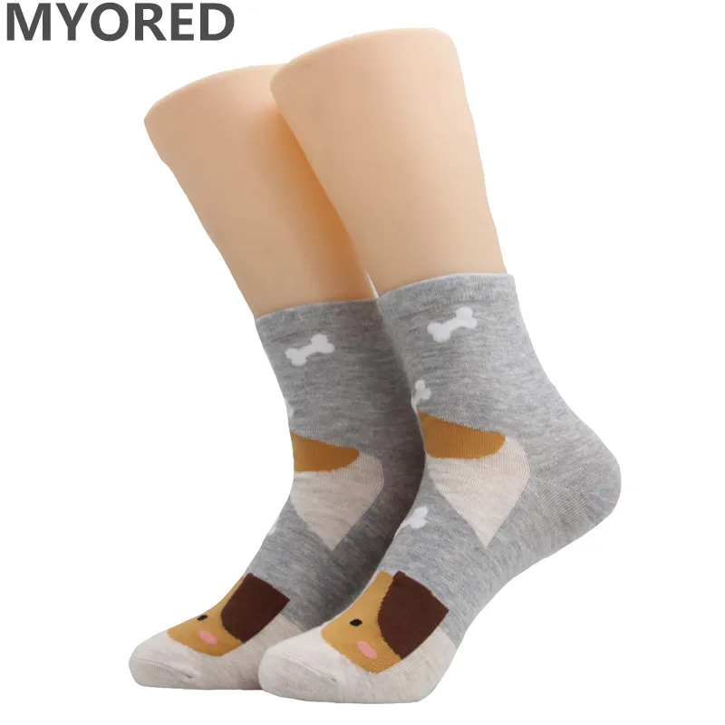 MYORED/5 пар, женские Мультяшные хлопковые носки с животным принтом, забавные короткие носки, осенне-зимние носки для девочек, женская одежда