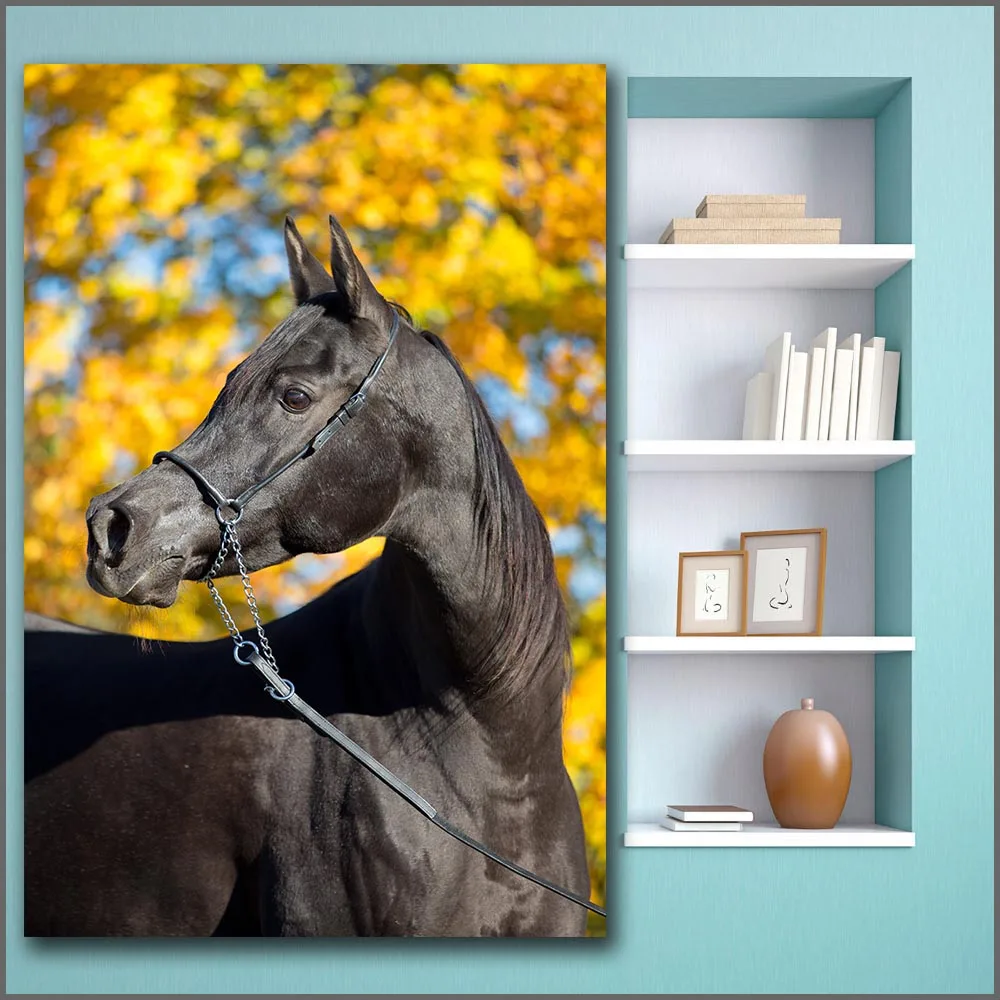 Large size Printing Portrait of a black horse beautful wall art canvas