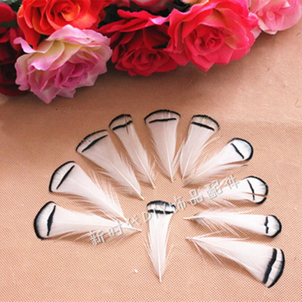 

New 10 UNIDS White Natural Pheasant Feather 5-13 cm Clothes Decoration Plumage White Lovely Decorative Chicken