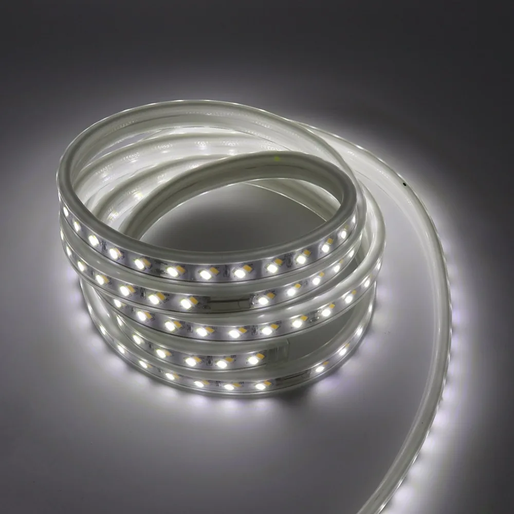Светодиодная лента с цветовой температурой 220 В 5730 SMD 120LED s/m холодный белый и