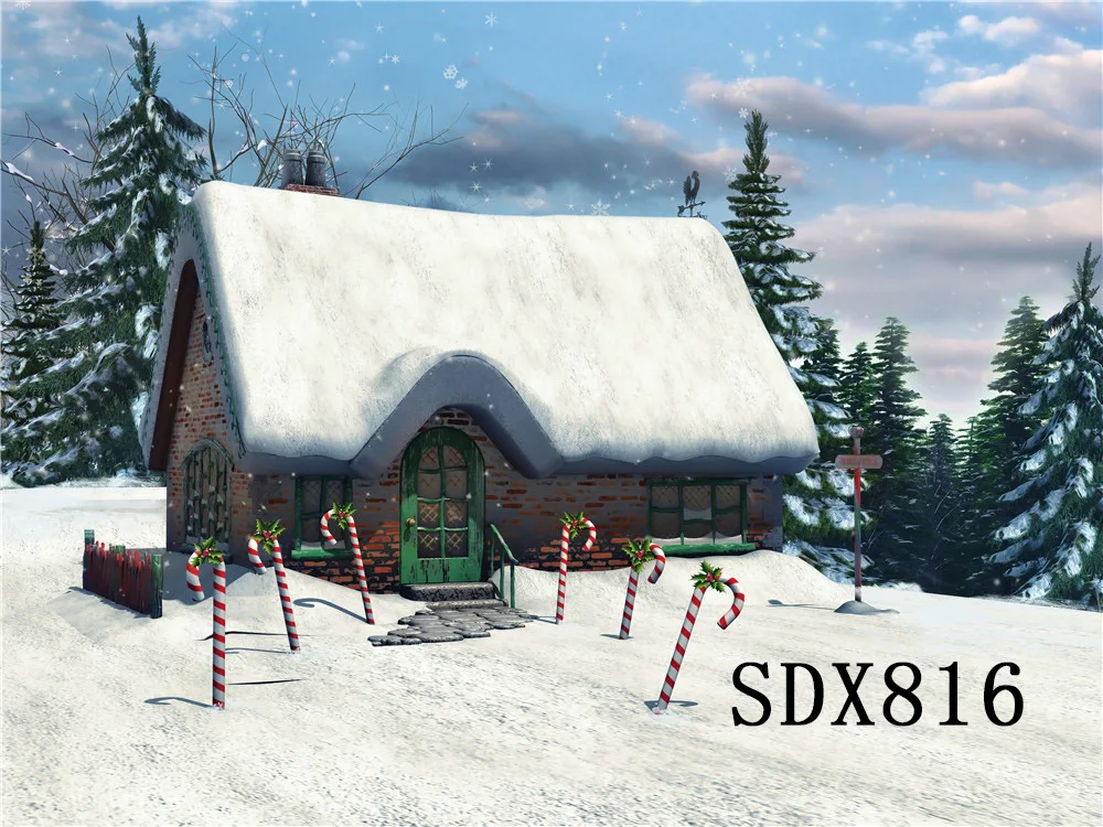 SDX816