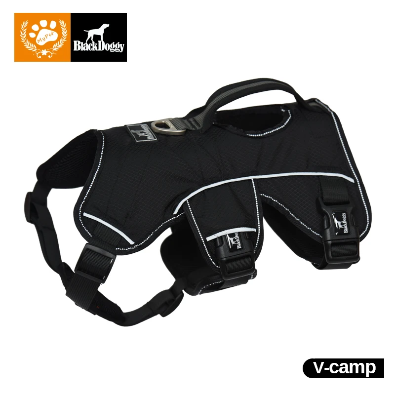 Glowing Dog Collar Reviews Glowing Dog Collar Reviews