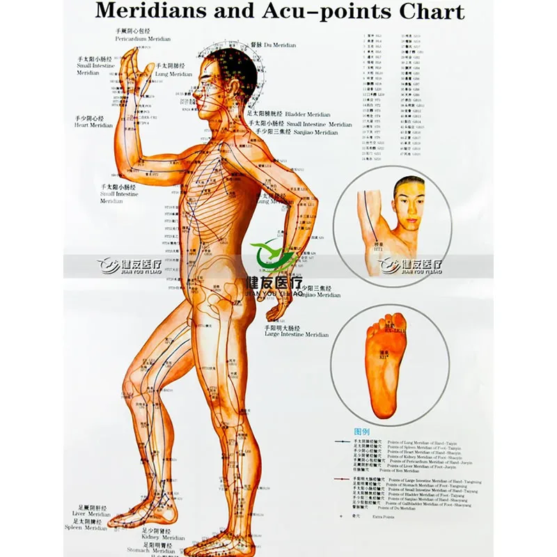 ear chart ear chart dolap magnetband co ear chart ear chart dolap magnetband co