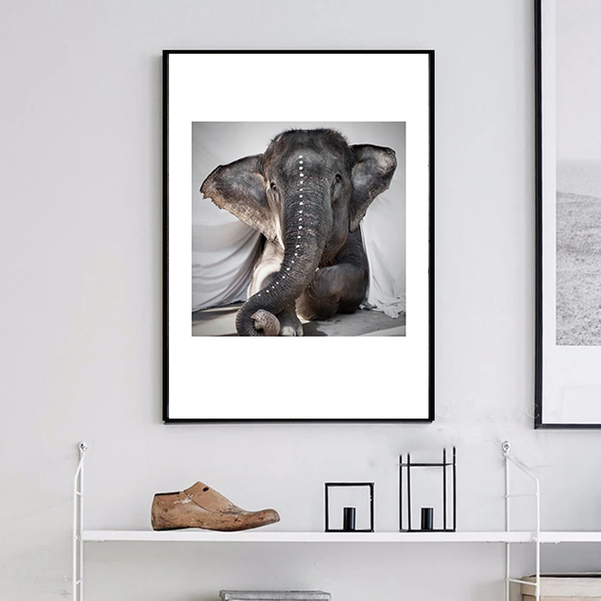 

Posters and Prints Nordic style Pictures Kitchen Restaurant Wall Home Decor Painting Animals All Love Hot Sell for Living Room