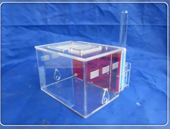 ant-workshop (6)