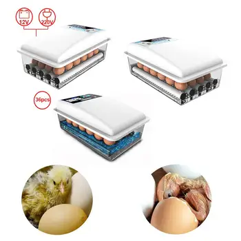 

24 Eggs Turning Incubators w/Auto Temperature Control For Poultry Incubation Chicken Goose Duck Eggs Double Power 110-220V