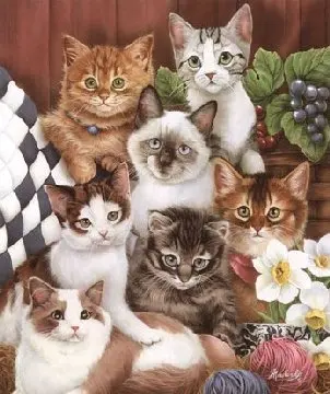 TB13fSFcfxNTKJjy0FjXXX6yVXa_!!0-item_pic