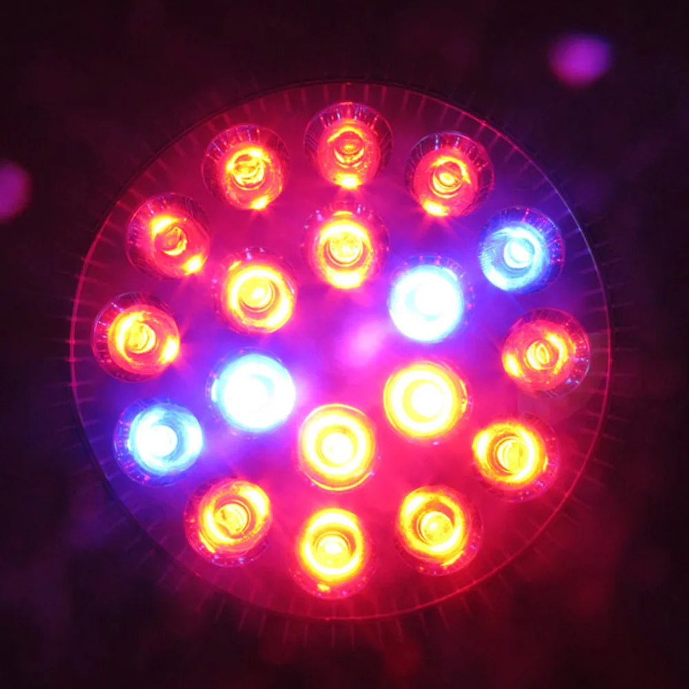0268-4