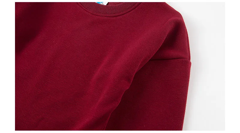 ruffles autumn winter dresses for big girls cotton long sleeve fleece dress baby kids clothes children casual school clothing (13)