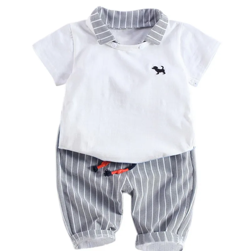VS0337W (7)
