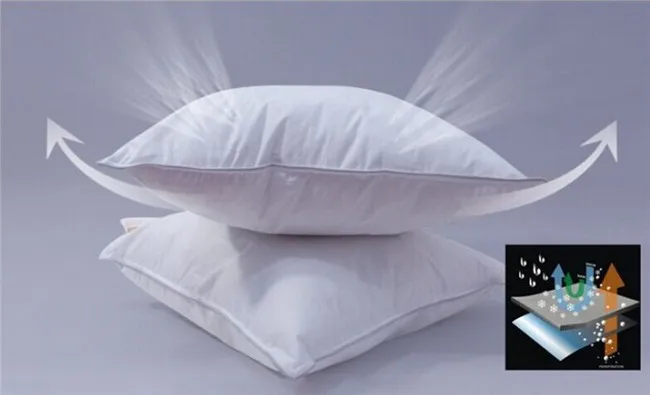 pillow inner11