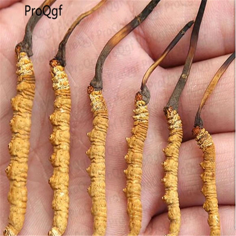 

Ngryise 3Gram A Set