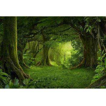 

Mysterious Primeval Forest Backdrop for Photography Printed Green Grass and Leaves Old Trees Jungle Party Theme Photo Background