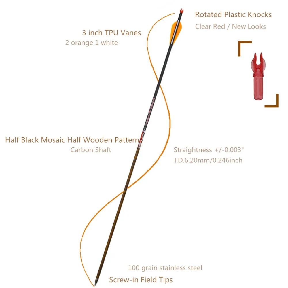 zhan yi carbon arrows (2)