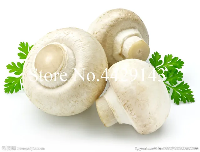 2018 Nuovo Piante Carnose 100 pz piante Funghi di Alta-nutrizione Commestibile V 2018 Nuovo Piante Carnose 100 pz piante Funghi di Alta-nutrizione Commestibile V