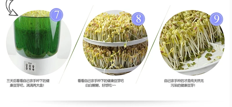 bean sprout machine free