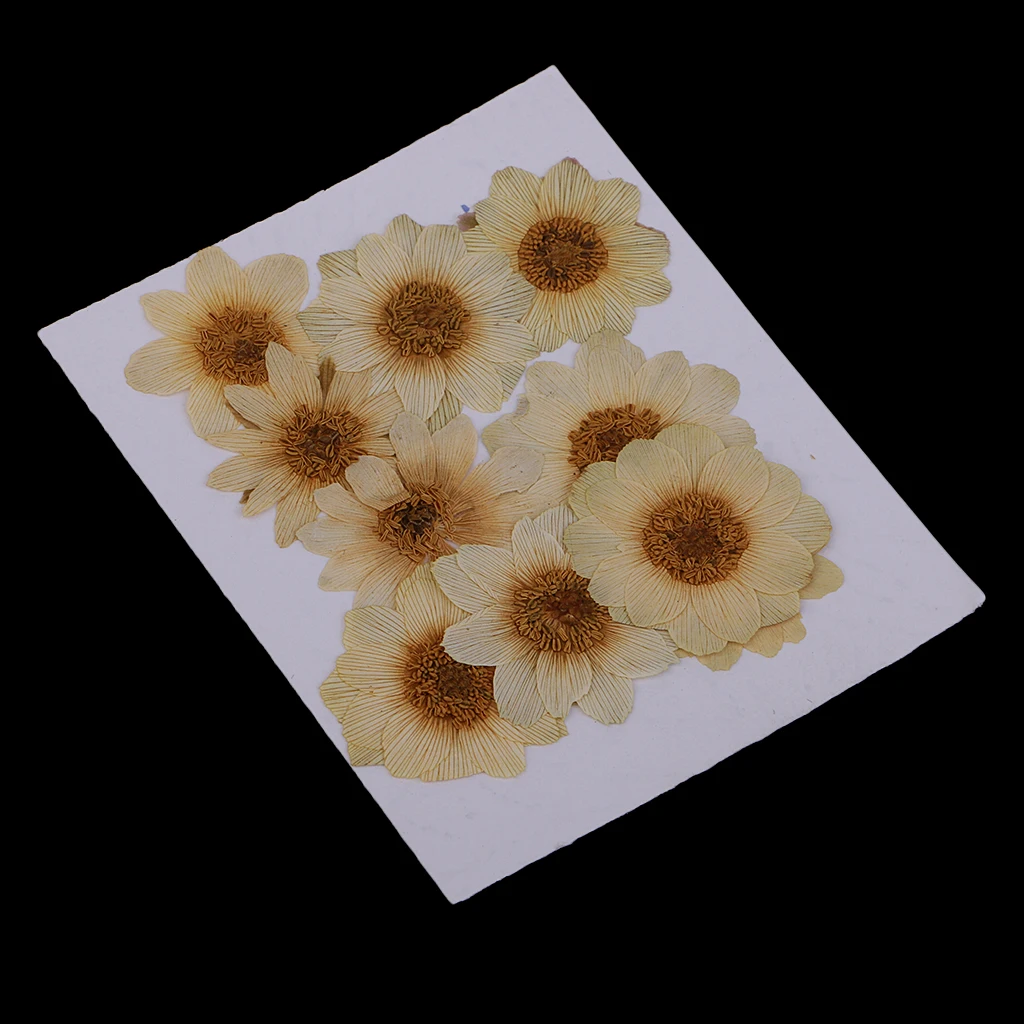 10 Pcs Dried Pressed ICE Flowers For Resin Flower DIY Arts Crafts Supplies