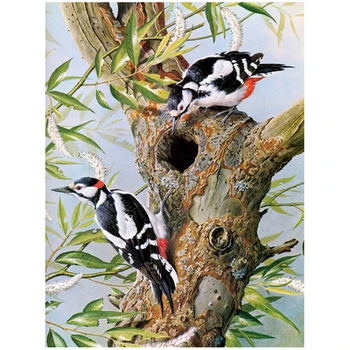 

5d diy diamond painting Cross Stitch diamond Embroidery Full Square Round Drill Woodpecker paintings by number ChristmasZP-1508