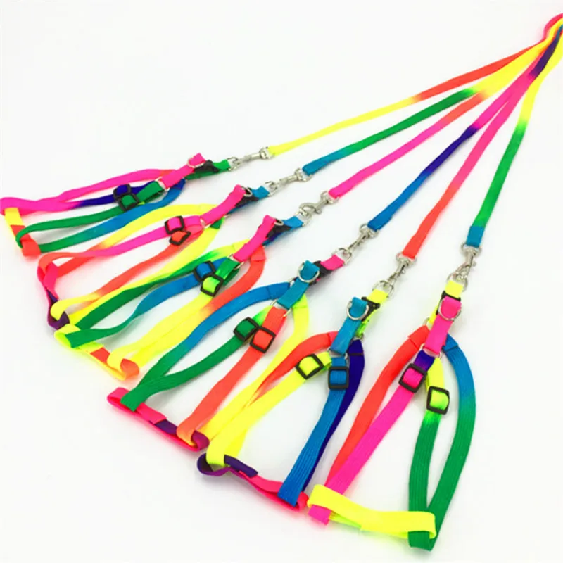 Colorful Pet Supplies Leash Direct Colorful Pectoral Straps Dog Leash