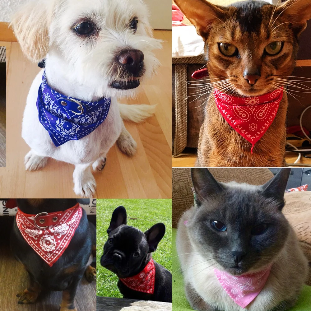 Adjustable-Pets-Collar-Bandana-Pet-Neckerchief-Printed-for-Kittens-Cat-Puppy-Collar-Leash-Tie-Pet-Products