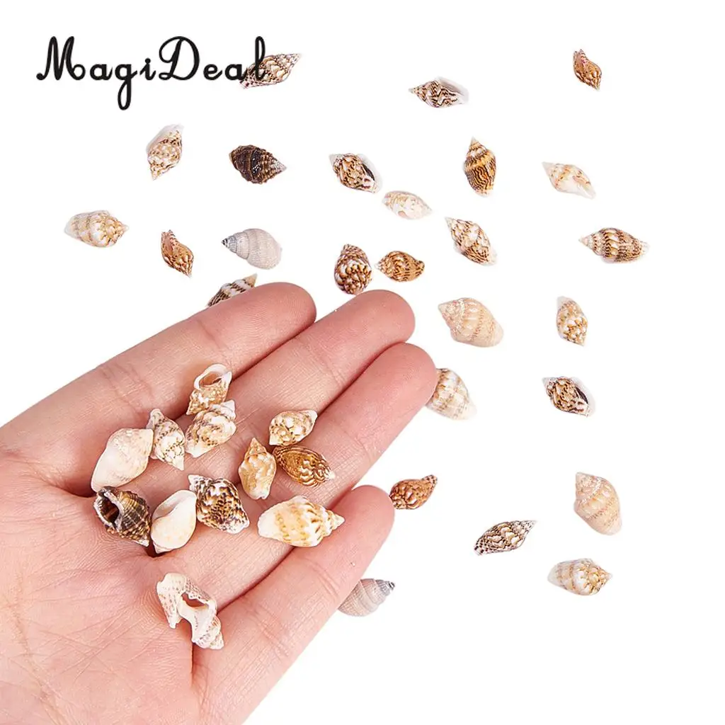 2 Box Multi Sea Shells Natural Conch Shells Beach Seashells, Colorful Assorted Accents for Candle Making Home Decorations
