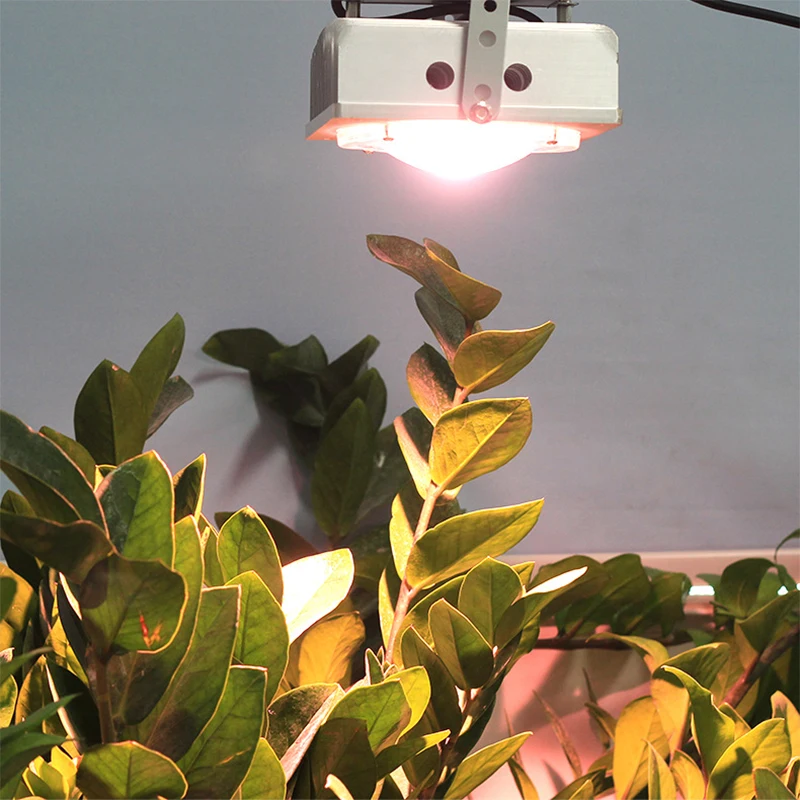 COB LED Grow Lights полный спектр 50 Вт фитоламповая Гидропоника фитолампа для цветов