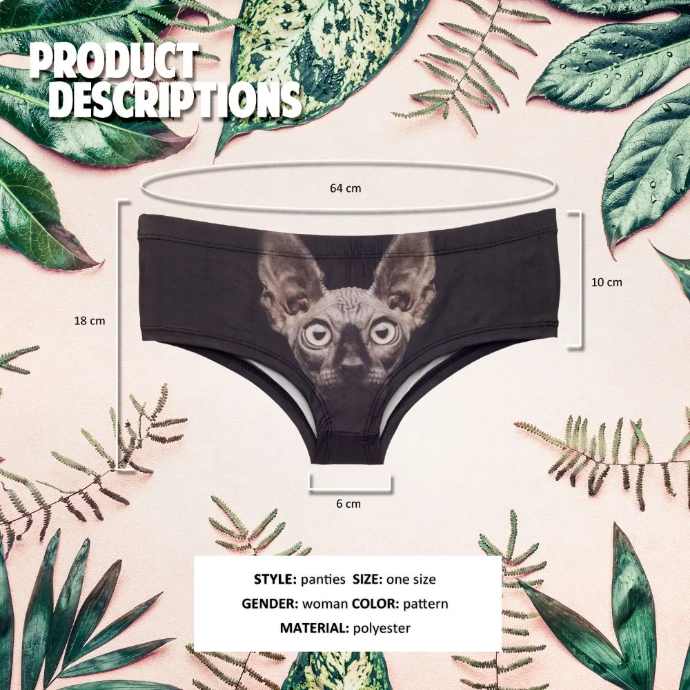 37063 SPHYNX CAT (1)