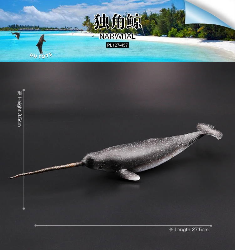 独角鲸-457