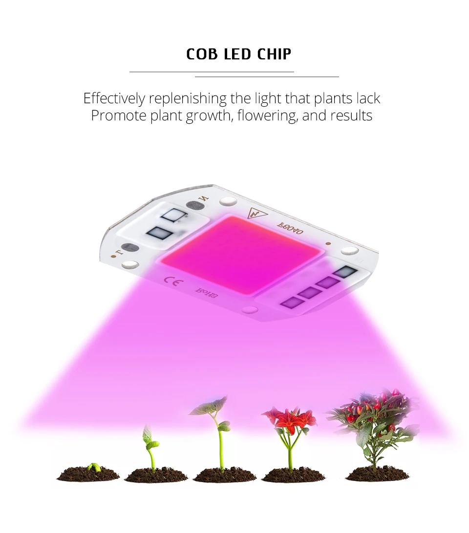 10pcs COB LED Grow Light Chip Phyto Lamp Full Spectrum 20W 30W 50W Diode Lamps For Plants Seedlings Indoor Greenhouse Hydroponic (7)