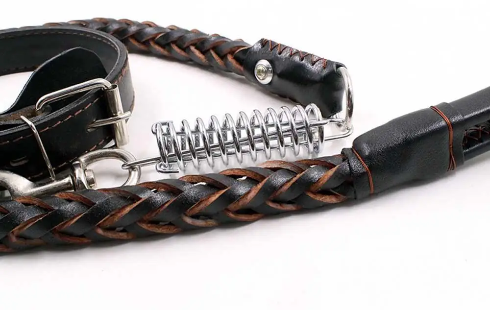 13 Collars, Harnesses & Leads