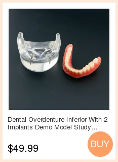 Base de Silicone Mandíbula Edentulosa Dental Modelo Completo Molde Bloco 10 High Quality Beleza e saúde