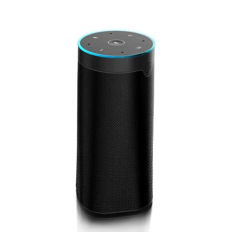portable bluetooth speaker with alexa